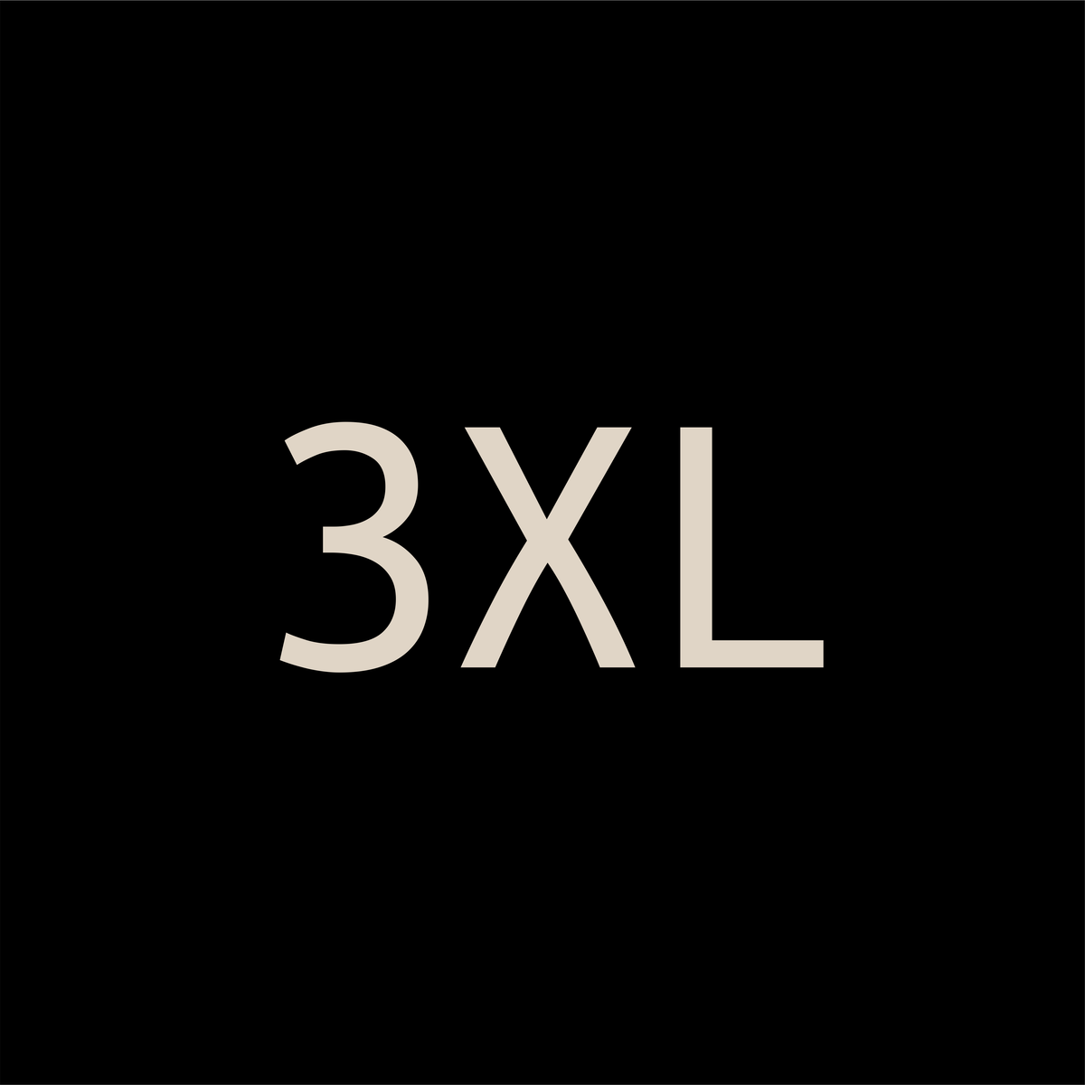 3XL Banner