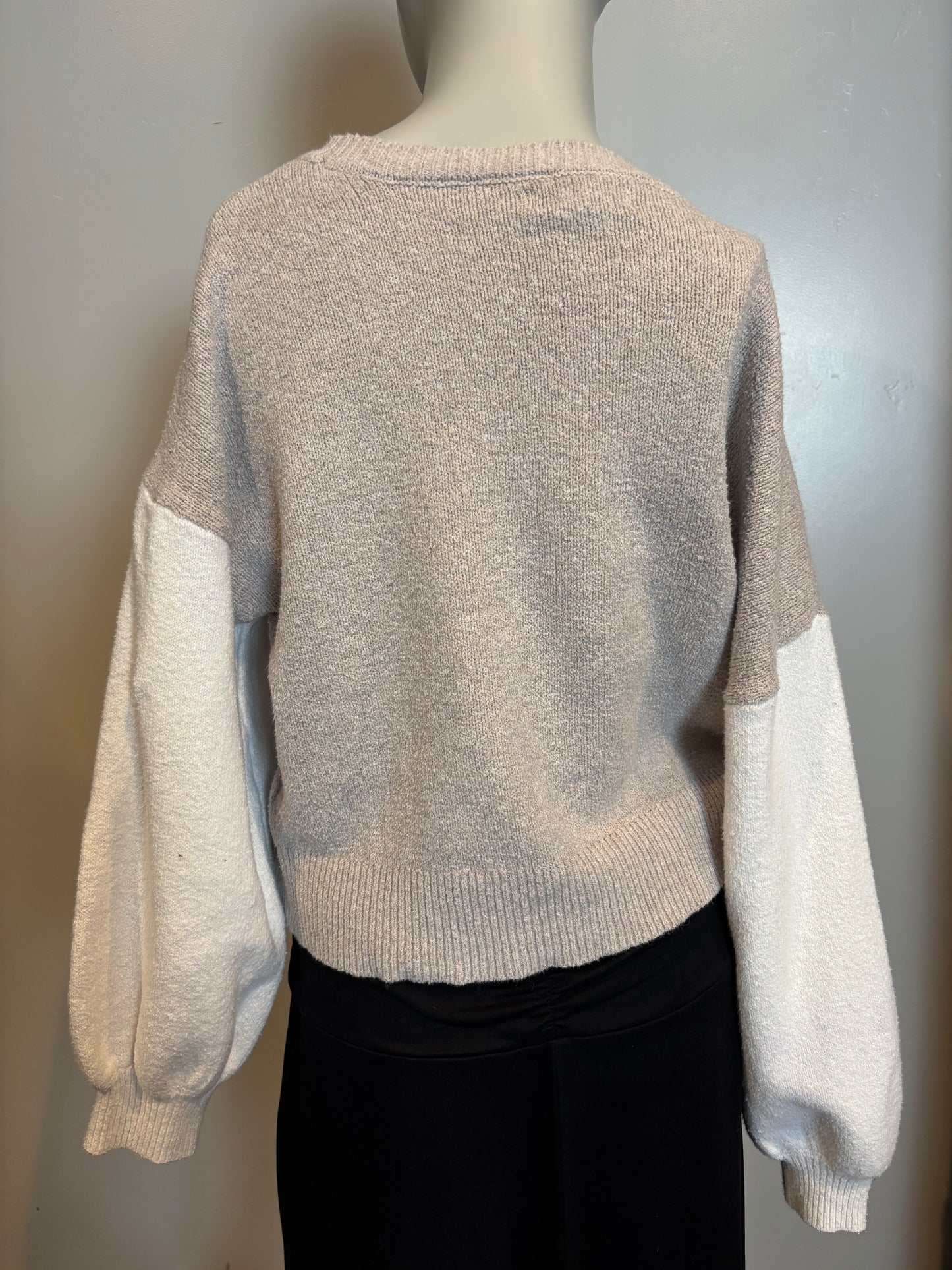 William Rast - Tan & Ivory Colorblock Short Sleeve Sweater - Size M  Back view. So in style.