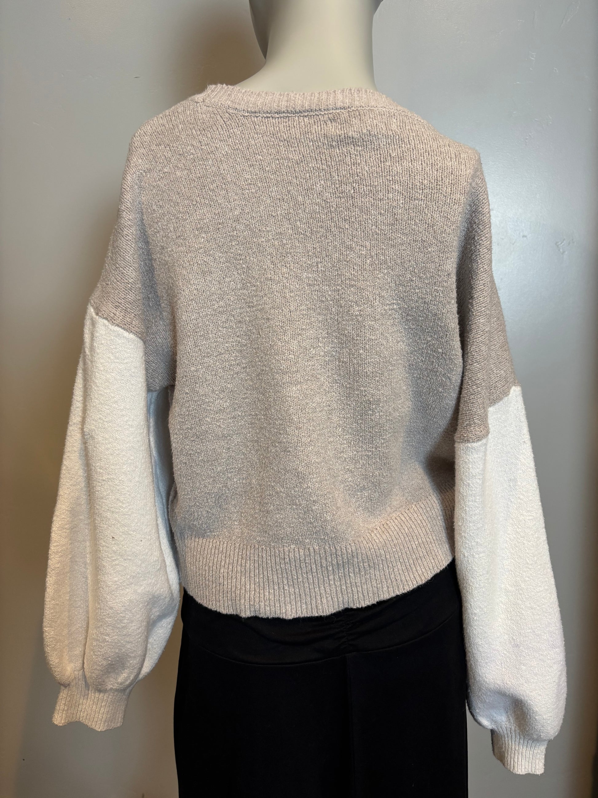 William Rast - Tan & Ivory Colorblock Short Sleeve Sweater - Size M  Back view. So in style.